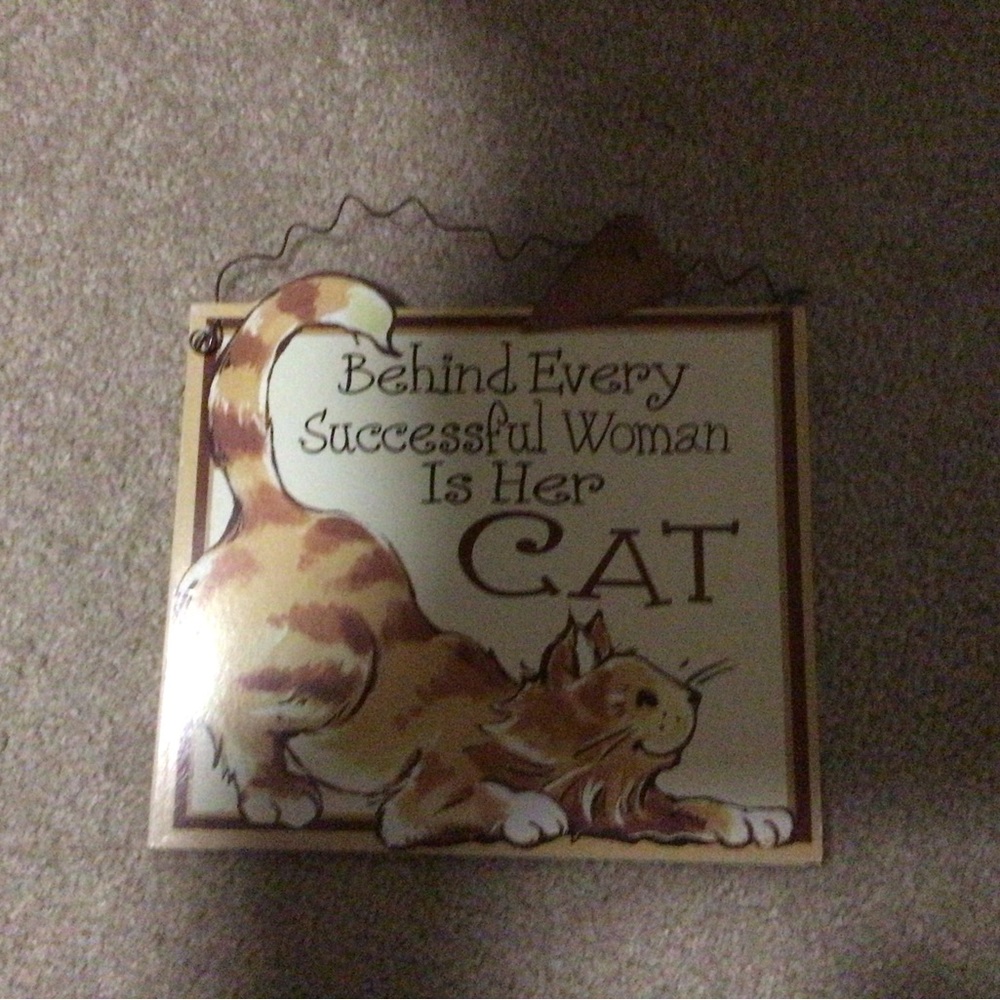 CAT LOVERS DECORATIVE HANGING SIGN-BEHIND EVERY SUCCESSFUL WOMAS IS HER CAT $6